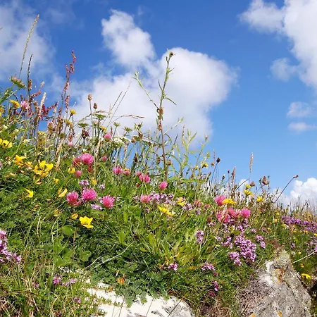 Meadow Cottage Belmullet Extérieur photo